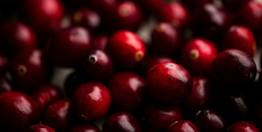 Cranberry capsules Cranberry capsules