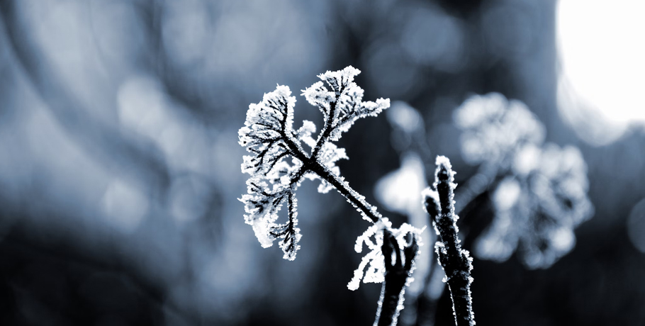 7 Effective Tips for Fighting the Common Cold 7 Effective Tips for Fighting the Common Cold