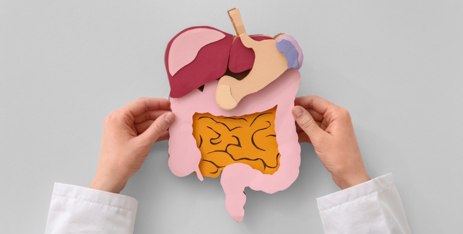 Bile, fat absorption and fat-soluble vitamins – the forgotten link in digestion Bile, fat absorption and fat-soluble vitamins – the forgotten link in digestion