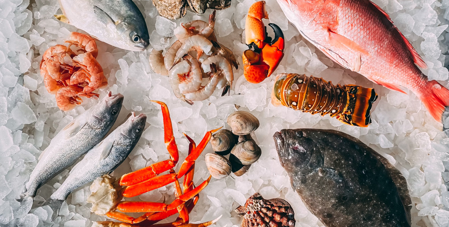 Everything You Need to Know About Zinc