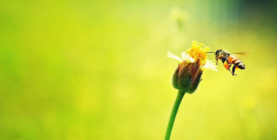 References & scientific studies References & scientific studies