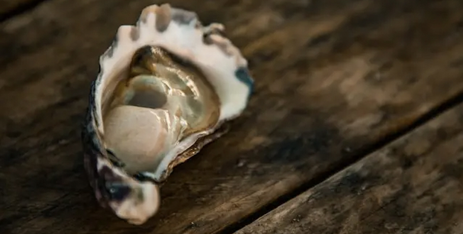 The Power of Zinc: 9 Health Benefits You Need to Know The Power of Zinc: 9 Health Benefits You Need to Know