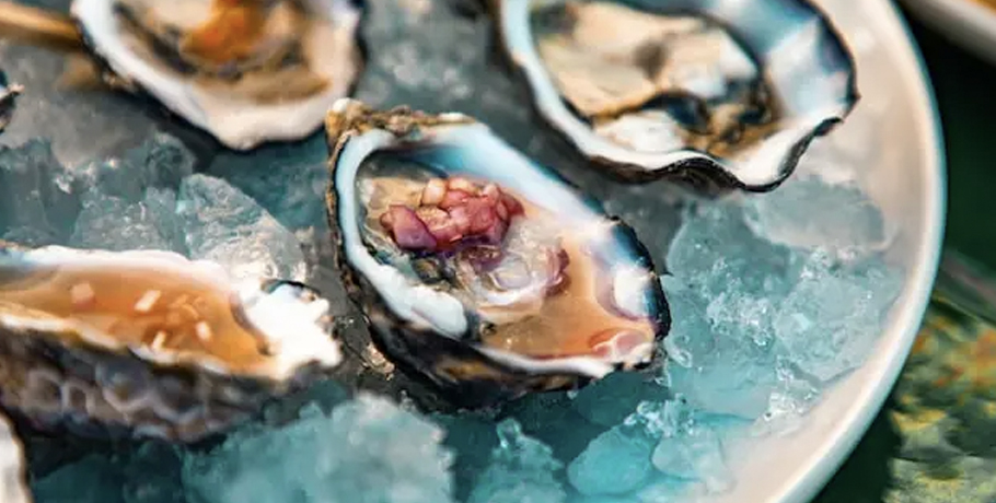 The Mighty Oyster: 5 Incredible Health Benefits You Need to Know The Mighty Oyster: 5 Incredible Health Benefits You Need to Know