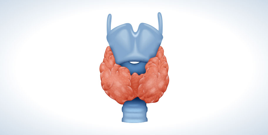 Problems with the Thyroid Gland? Problems with the Thyroid Gland?