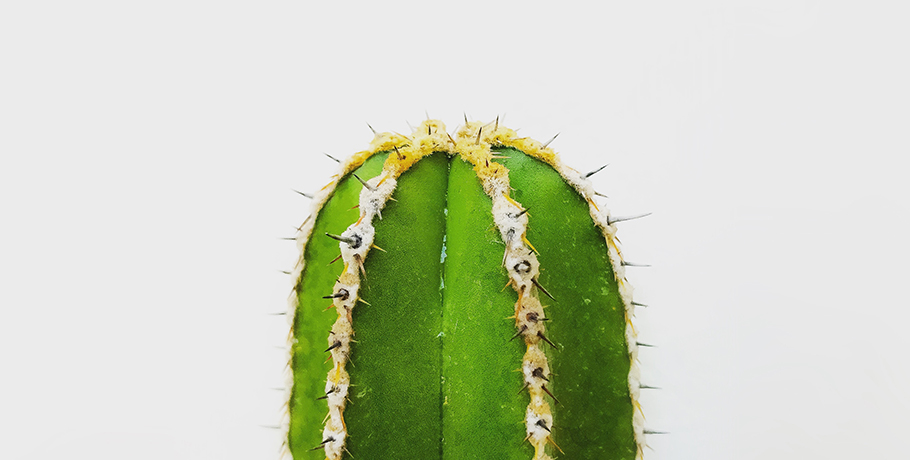 Understanding and Treating Urinary Tract Infections (UTIs) Understanding and Treating Urinary Tract Infections (UTIs)